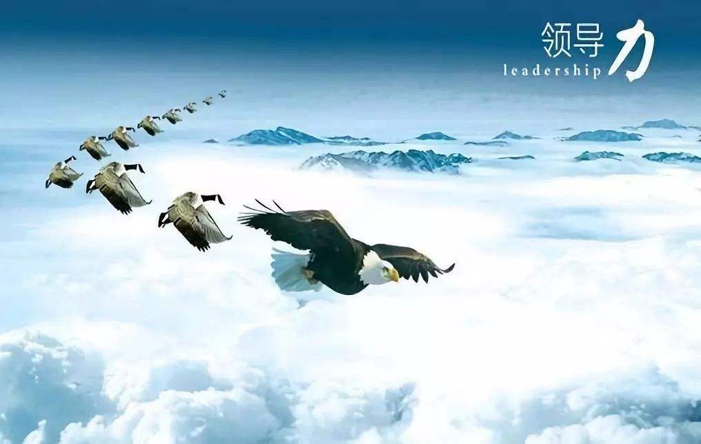 领导力6.jpg
